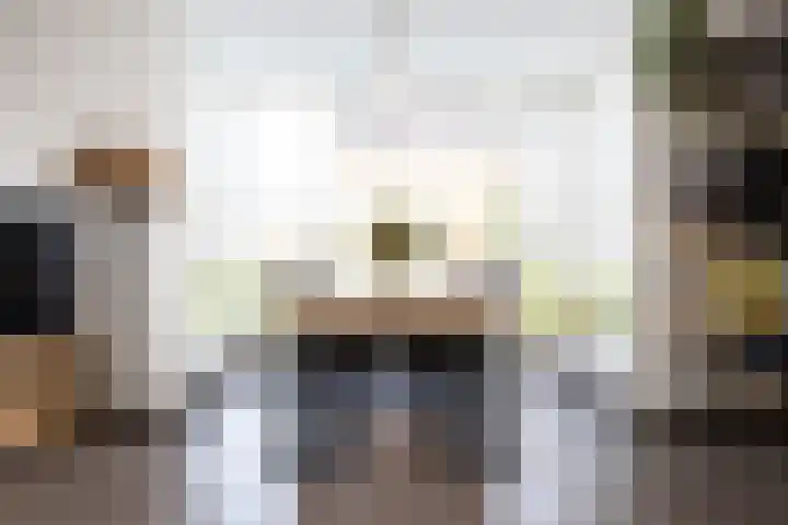 Paaldijk 126 Zwaag thumbnail 16