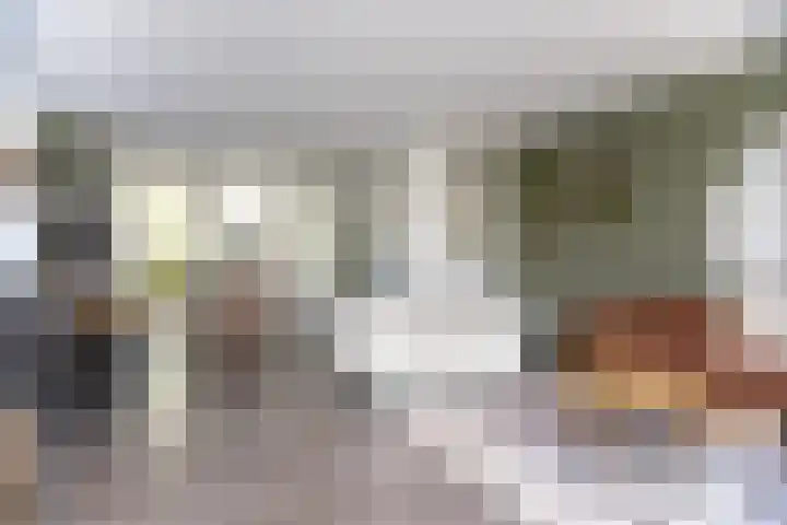 Paaldijk 126 Zwaag thumbnail 17