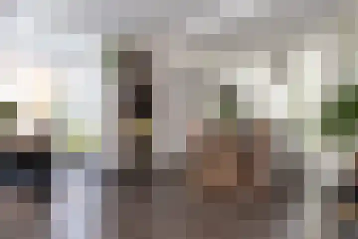 Paaldijk 126 Zwaag thumbnail 18