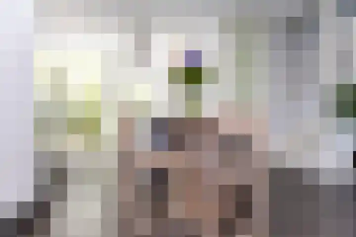 Paaldijk 126 Zwaag thumbnail 19