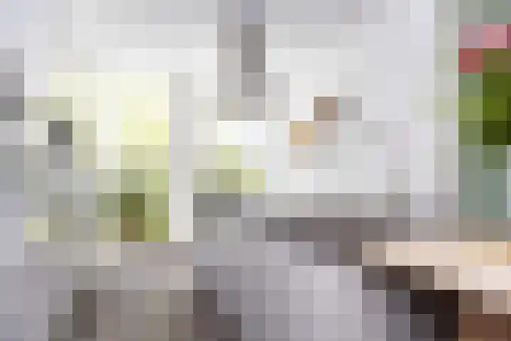 Paaldijk 126 Zwaag thumbnail 20