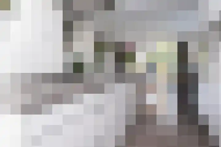 Paaldijk 126 Zwaag thumbnail 22