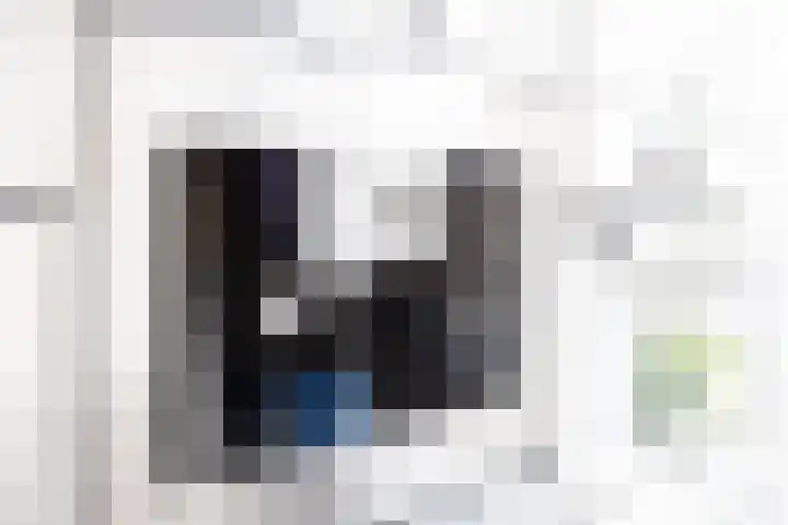 Paaldijk 126 Zwaag thumbnail 23