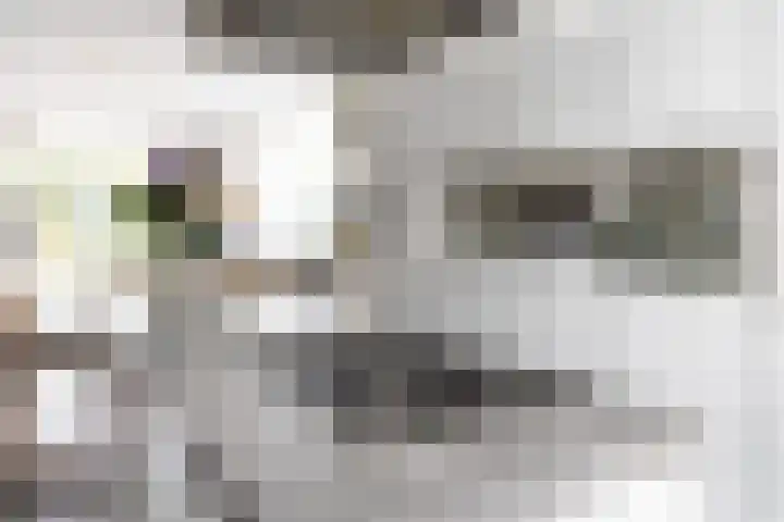 Paaldijk 126 Zwaag thumbnail 24