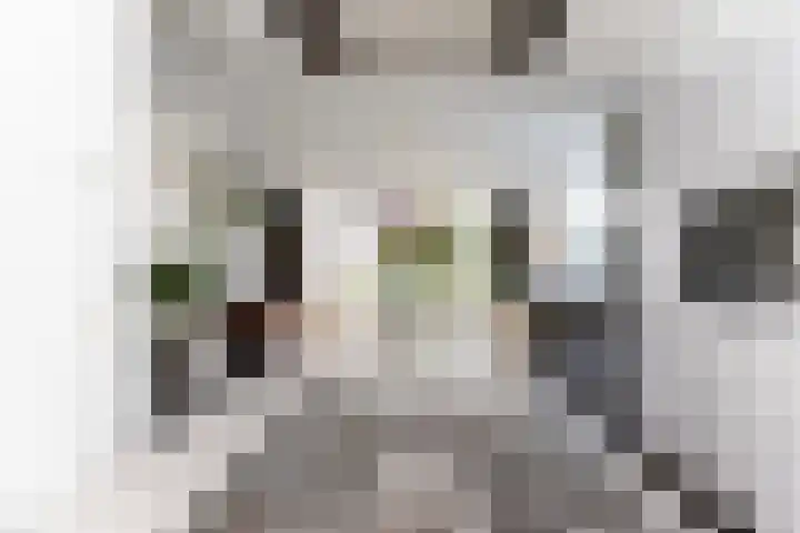 Paaldijk 126 Zwaag thumbnail 25