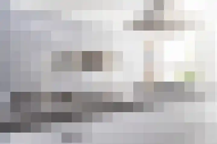Paaldijk 126 Zwaag thumbnail 4
