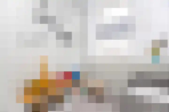 Paaldijk 126 Zwaag thumbnail 41