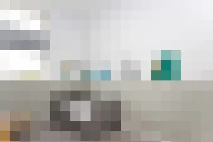 Paaldijk 126 Zwaag thumbnail 43