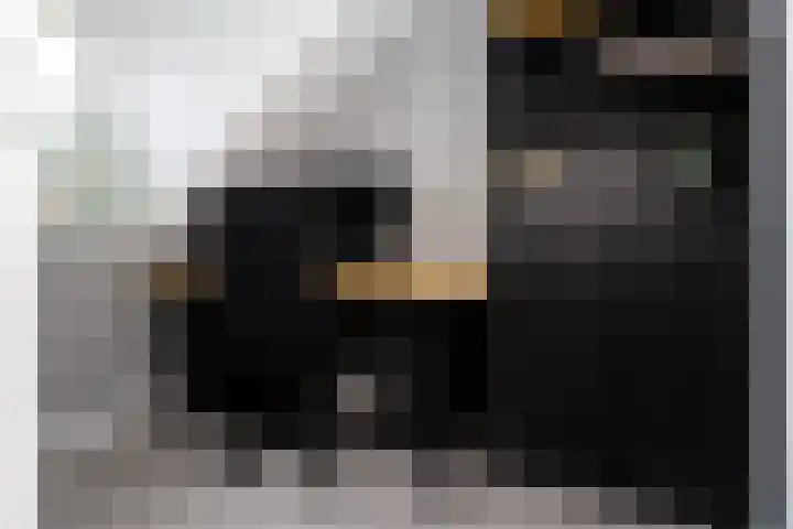 Paaldijk 126 Zwaag thumbnail 51
