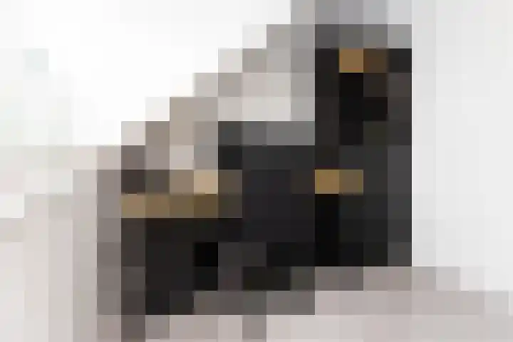 Paaldijk 126 Zwaag thumbnail 52