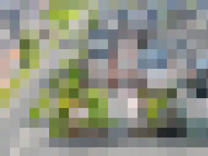 Paaldijk 126 Zwaag thumbnail 55