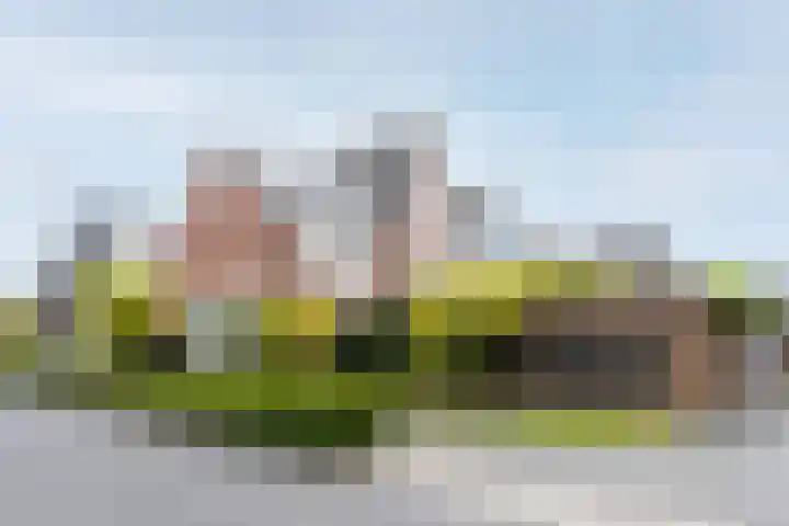 Paaldijk 126 Zwaag thumbnail 56