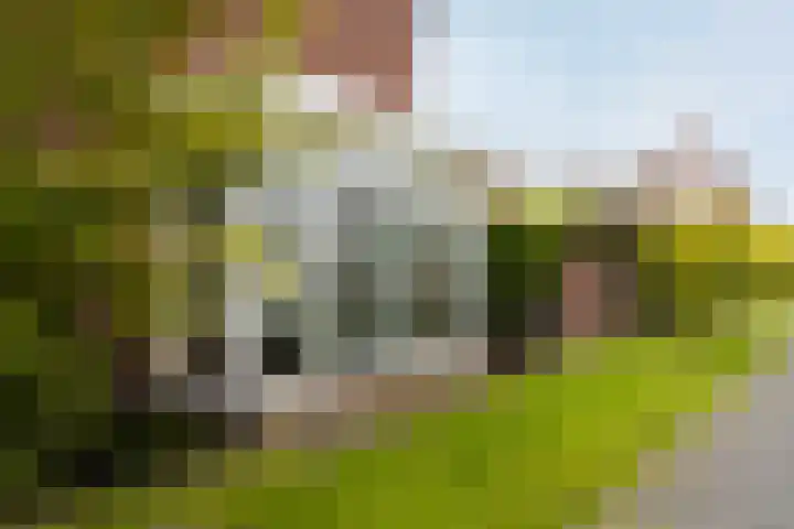 Paaldijk 126 Zwaag thumbnail 57