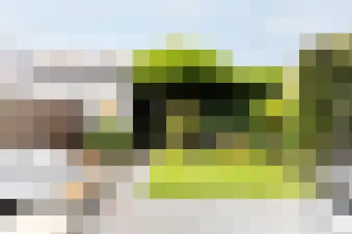 Paaldijk 126 Zwaag thumbnail 58
