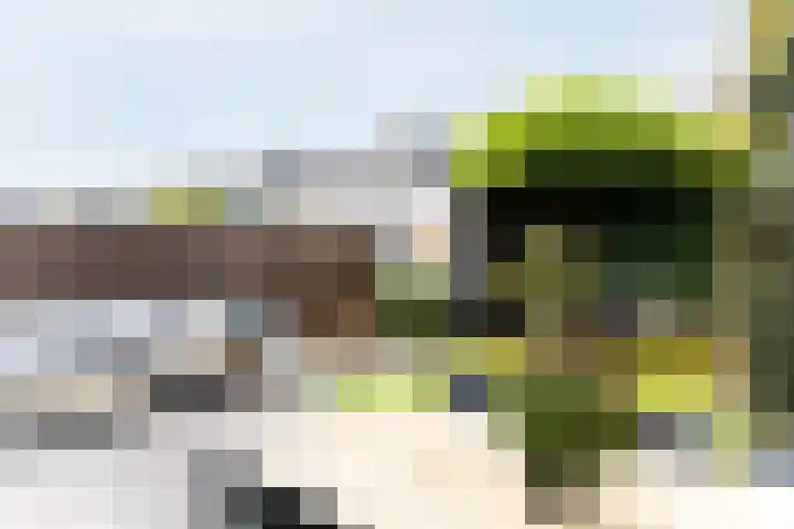 Paaldijk 126 Zwaag thumbnail 60