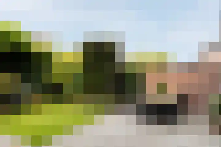 Paaldijk 126 Zwaag thumbnail 63