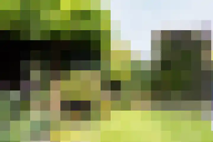 Paaldijk 126 Zwaag thumbnail 64