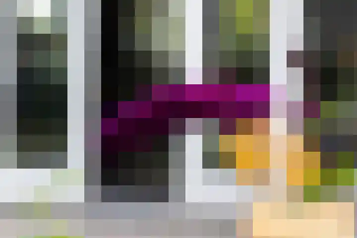 Paaldijk 126 Zwaag thumbnail 66