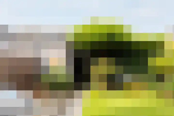 Paaldijk 126 Zwaag thumbnail 68