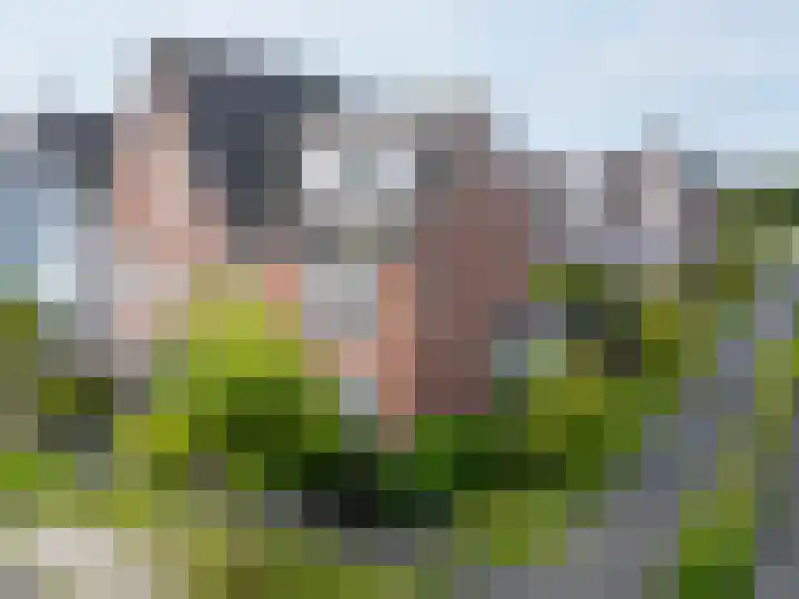 Paaldijk 126 Zwaag thumbnail 7