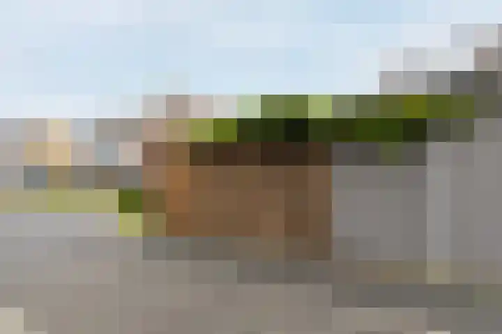 Paaldijk 126 Zwaag thumbnail 70