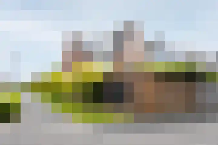 Paaldijk 126 Zwaag thumbnail 71