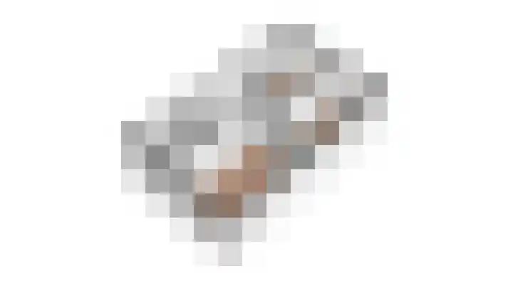 Paaldijk 126 Zwaag thumbnail 75