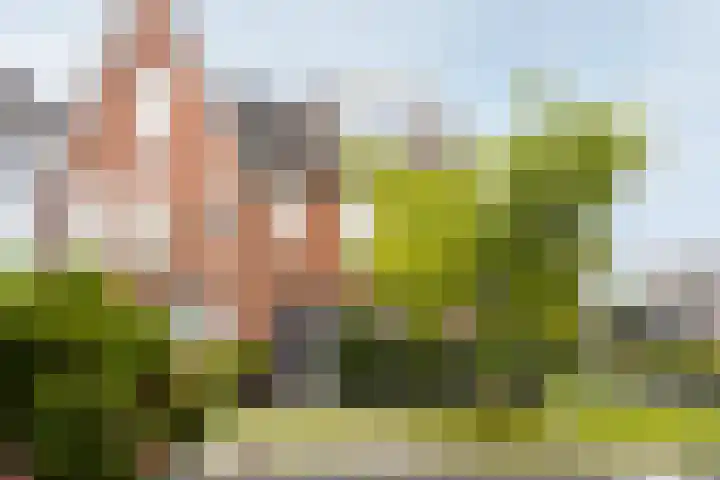 Paaldijk 126 Zwaag thumbnail 8