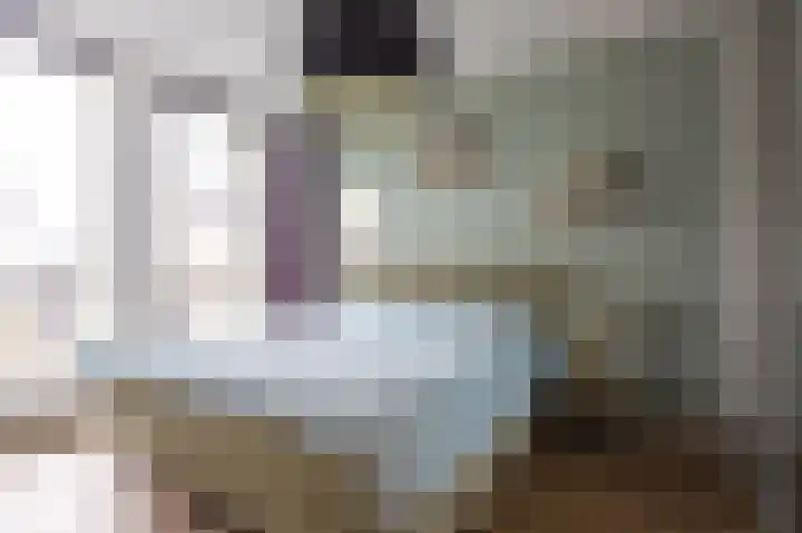 Paaldijk 144 Zwaag thumbnail 32