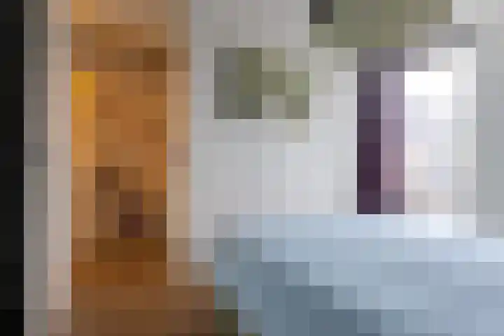 Paaldijk 144 Zwaag thumbnail 33