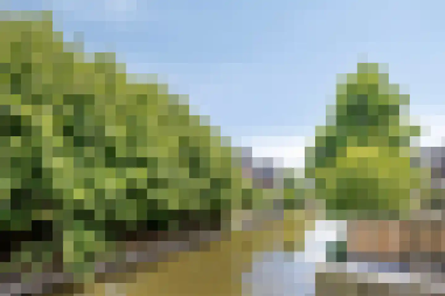 Paaldijk 161 Zwaag thumbnail 21
