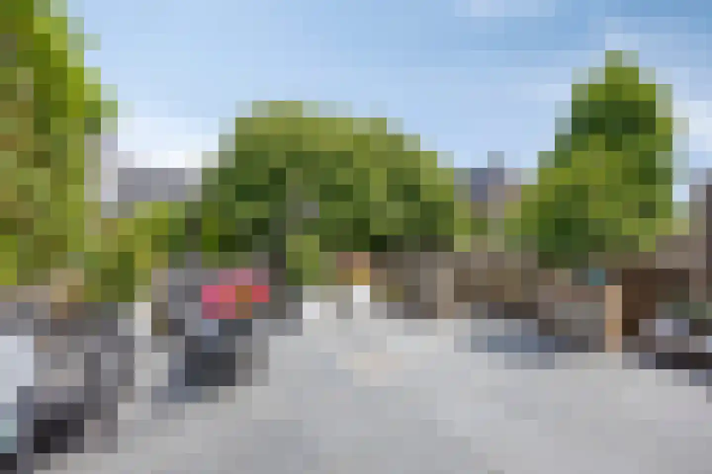 Paaldijk 161 Zwaag thumbnail 6