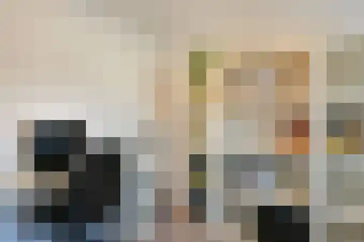 Paaldijk 17 Zwaag thumbnail 12