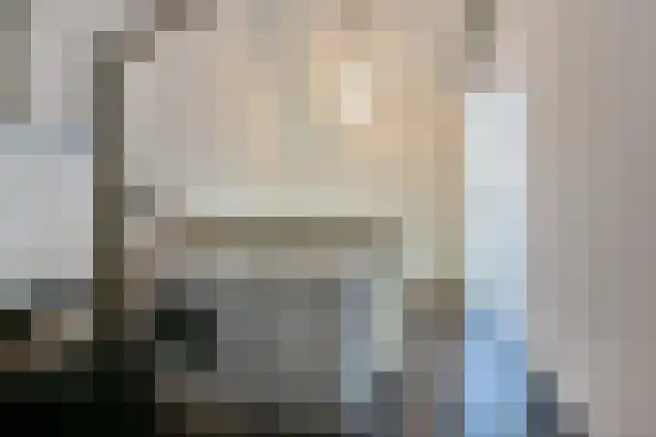 Paaldijk 17 Zwaag thumbnail 15