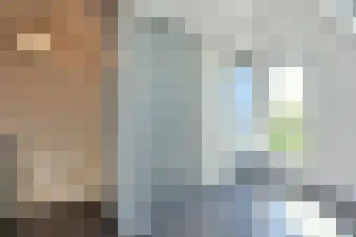 Paaldijk 17 Zwaag thumbnail 16