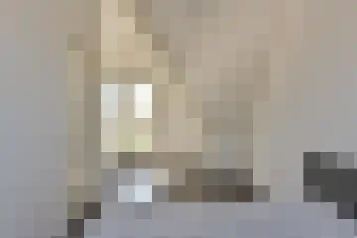 Paaldijk 17 Zwaag thumbnail 18