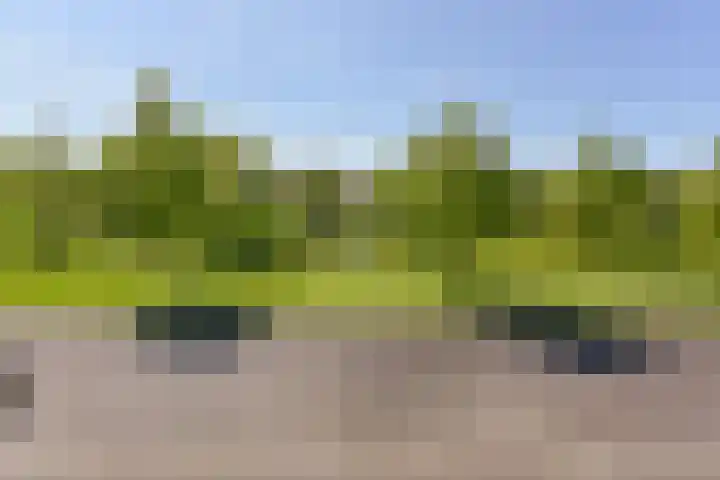 Paaldijk 17 Zwaag thumbnail 20