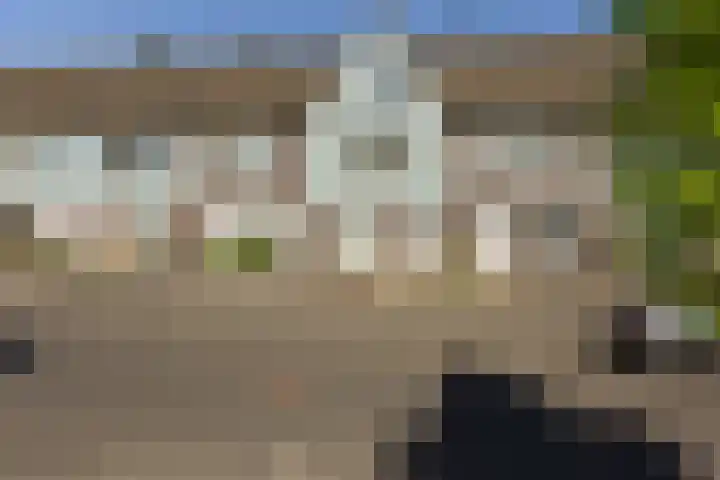 Paaldijk 17 Zwaag thumbnail 21