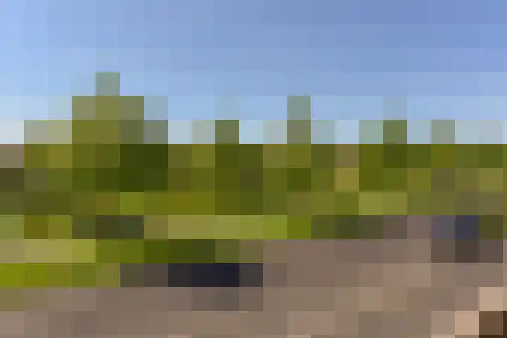 Paaldijk 17 Zwaag thumbnail 23