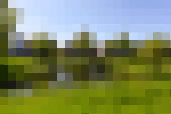 Paaldijk 17 Zwaag thumbnail 24