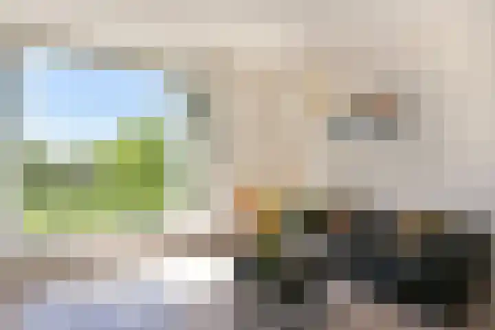 Paaldijk 17 Zwaag thumbnail 4