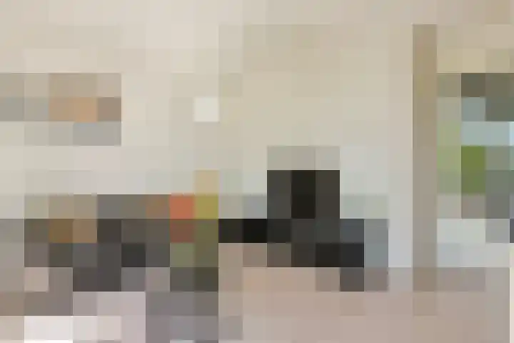 Paaldijk 17 Zwaag thumbnail 5