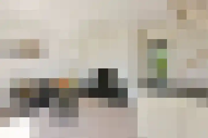 Paaldijk 17 Zwaag thumbnail 6