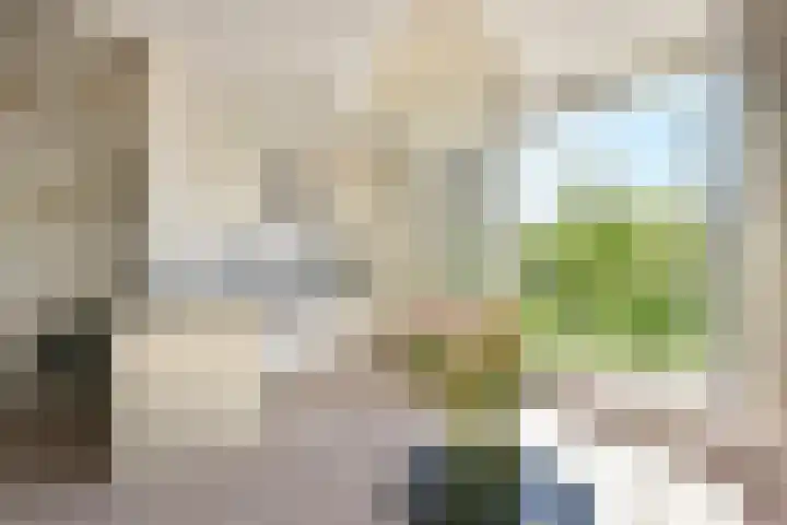Paaldijk 17 Zwaag thumbnail 8