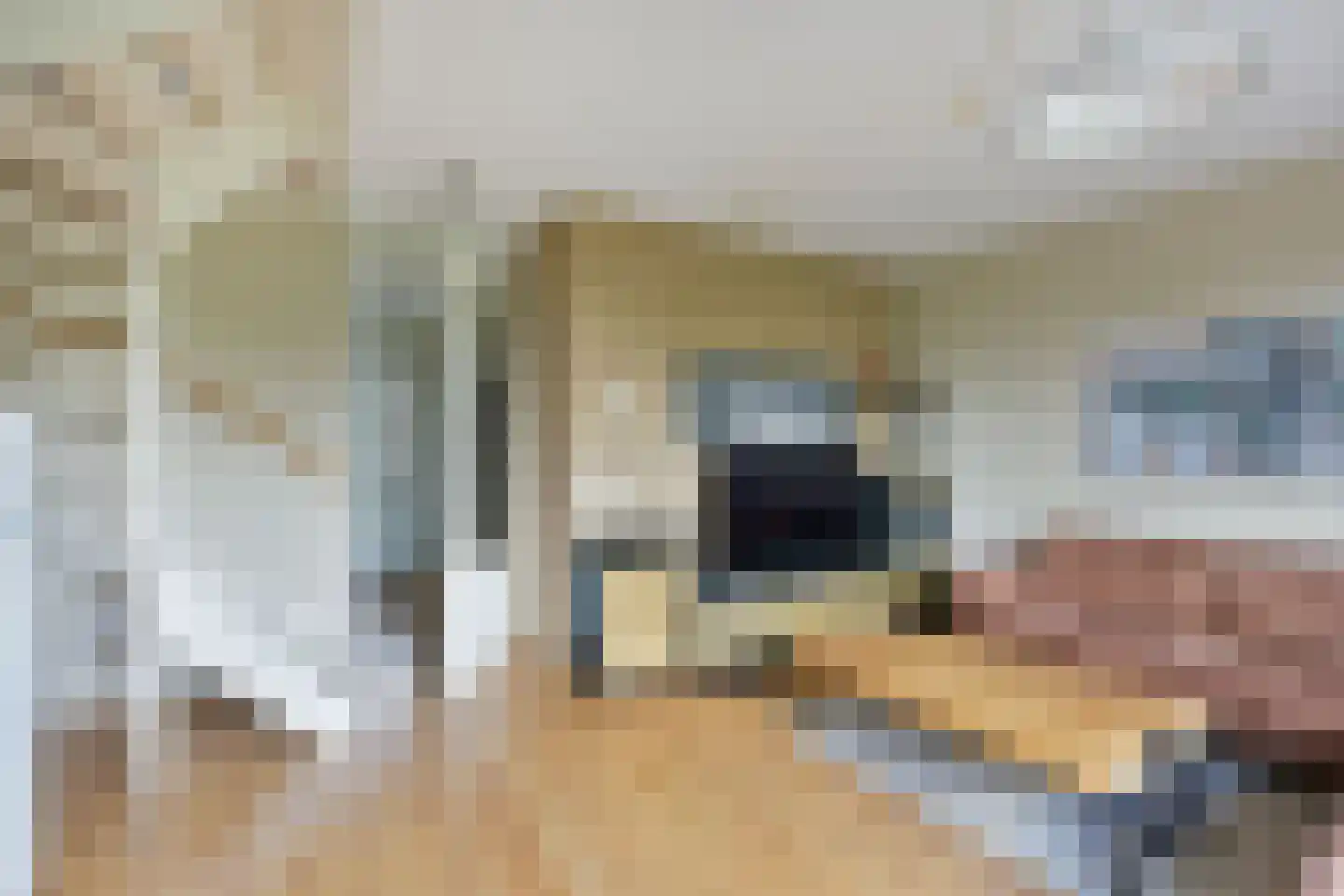 Paaldijk 18 Zwaag thumbnail 5