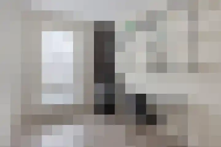Paaldijk 182 Zwaag thumbnail 11