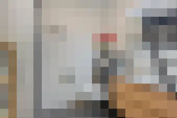 Paaldijk 182 Zwaag thumbnail 12