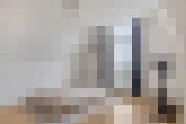 Paaldijk 182 Zwaag thumbnail 13