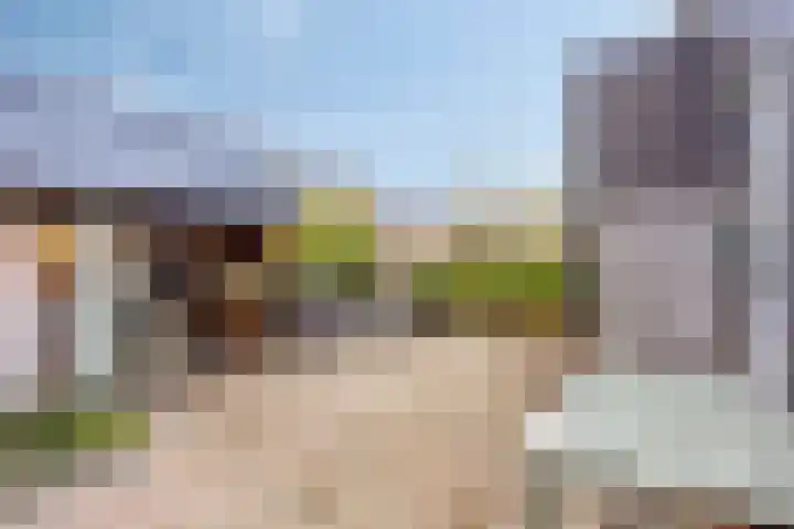 Paaldijk 182 Zwaag thumbnail 16
