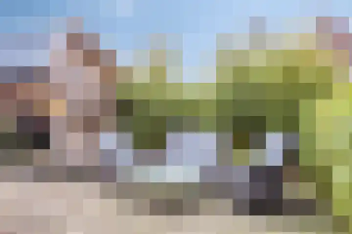 Paaldijk 182 Zwaag thumbnail 17